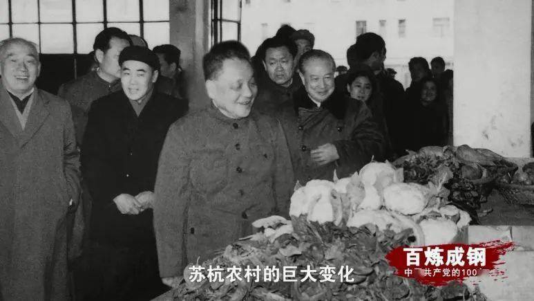 管家一码中一肖100%的全面释义、解释与落实、定量解答解释落实